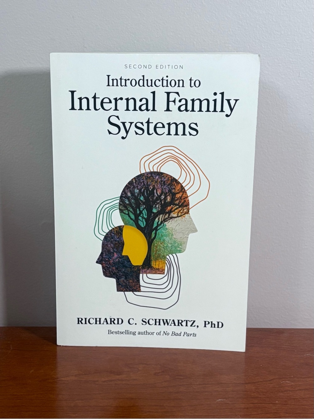 ✨3 FOR $20✨ Introduction to Internal Family Systems